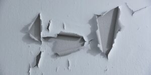 ¿Cómo pintar una pared descascarada (4)
