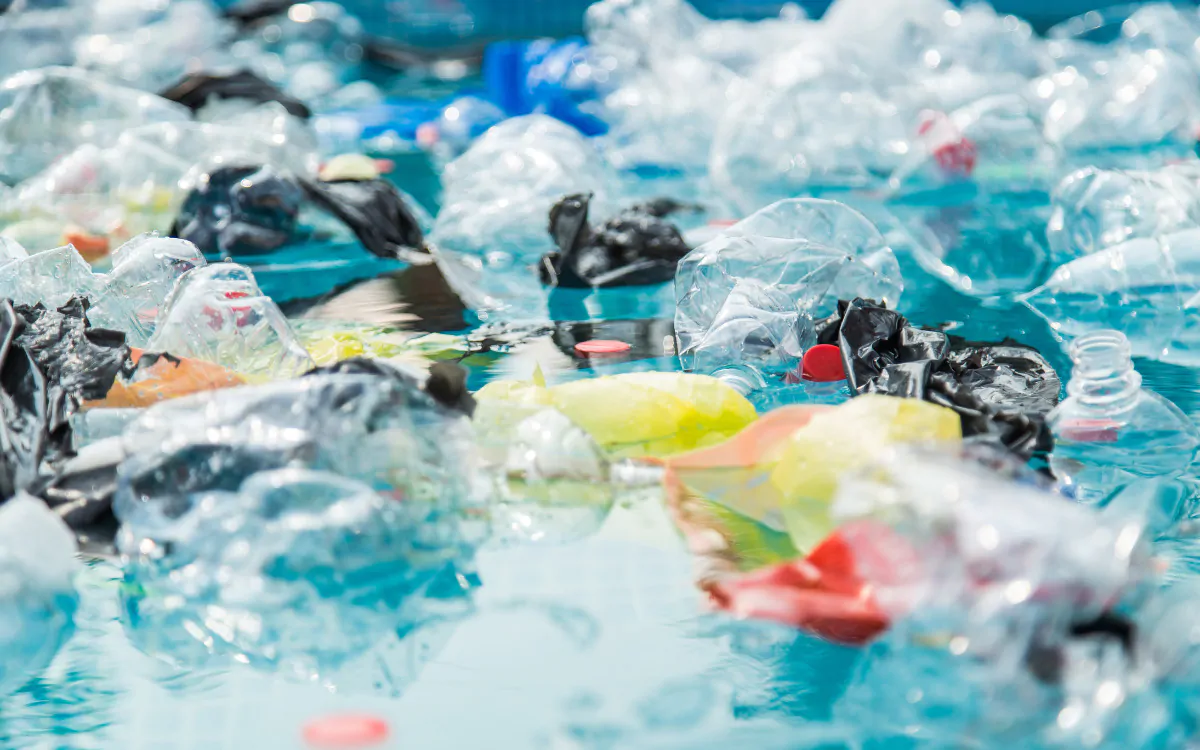 Impacto Ambiental de los Productos Náuticos y Cómo Elegir Opciones Sostenibles
